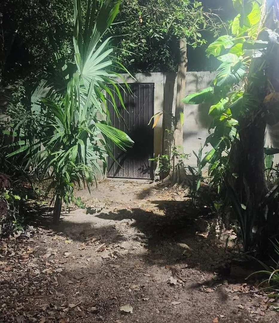 Отель Casa Itzamna Jungle Retreat Tulum Макарио-Гомес